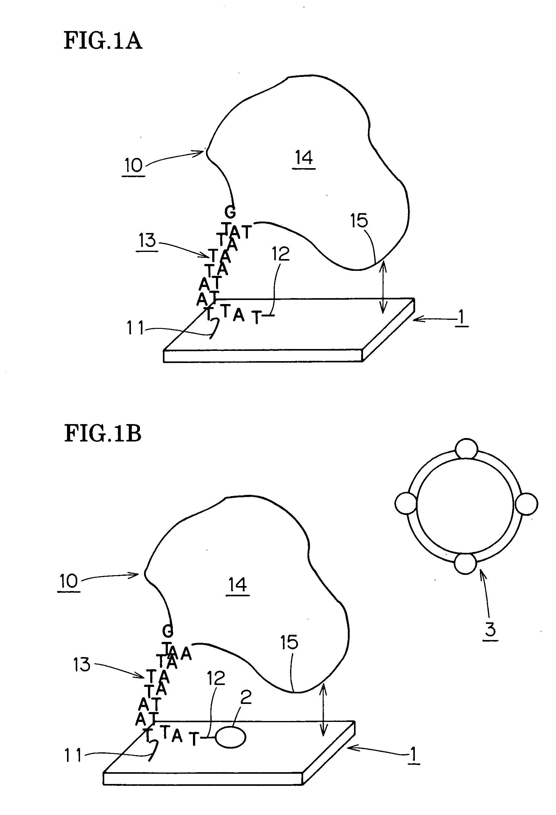 Method for detecting biochemical reactant biochip