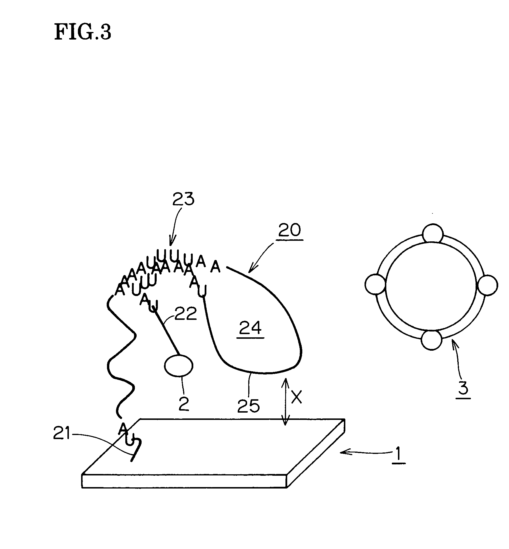 Method for detecting biochemical reactant biochip