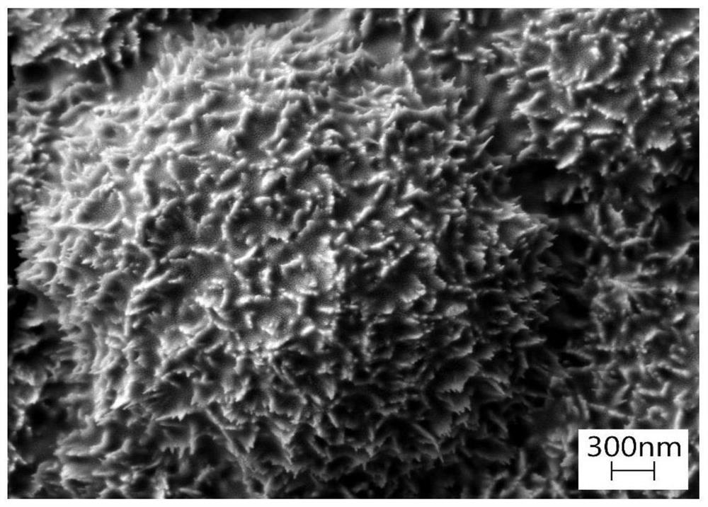 Magnesium alloy gradient composite coating and application thereof