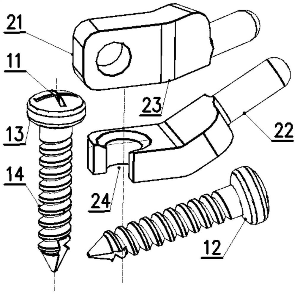 Double-door type pedicle screw plate system for cervical vertebra