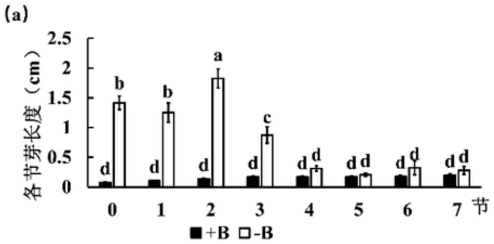 Method for evaluating growth condition of peas