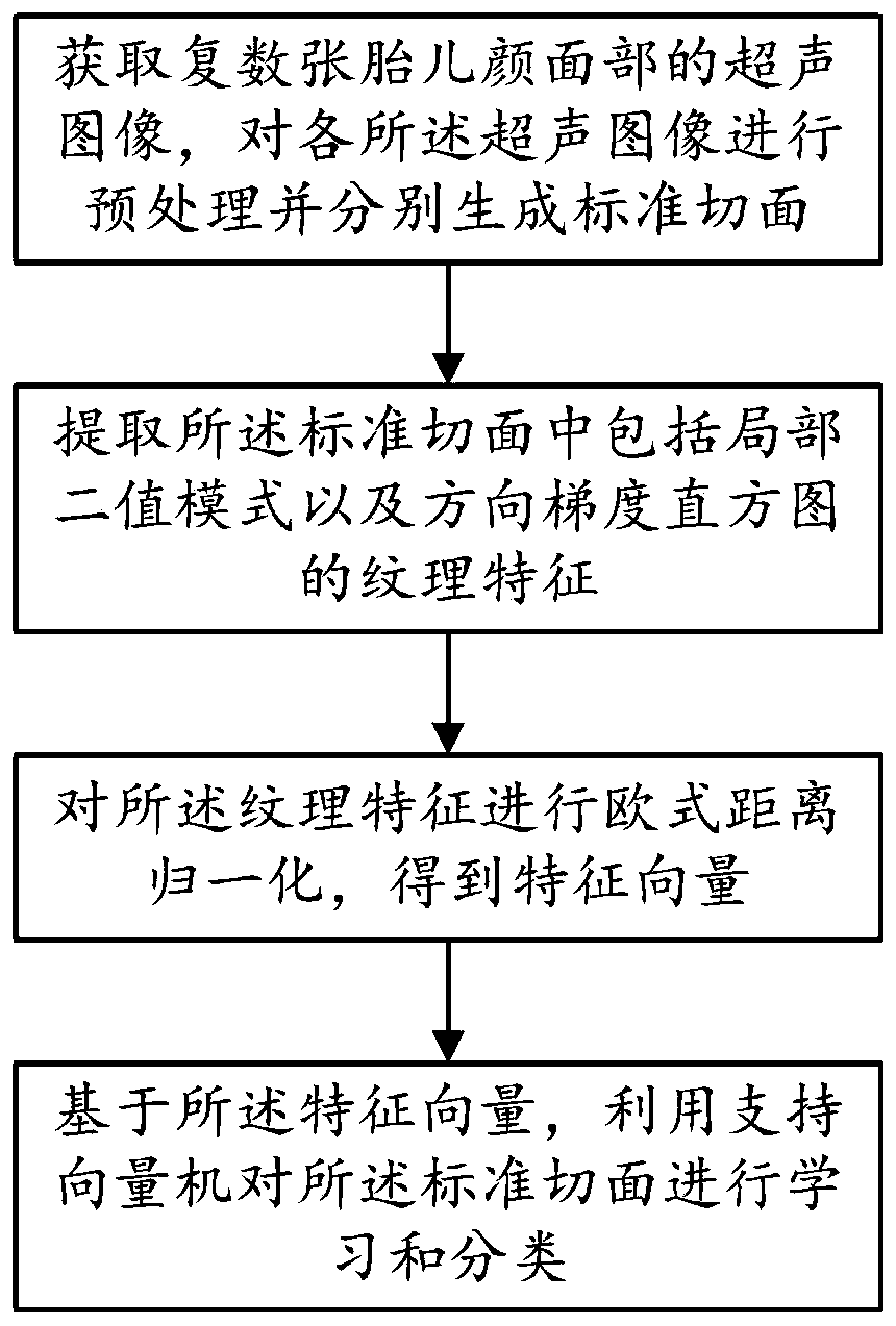 Automatic classification method for standard sections of fetus faces