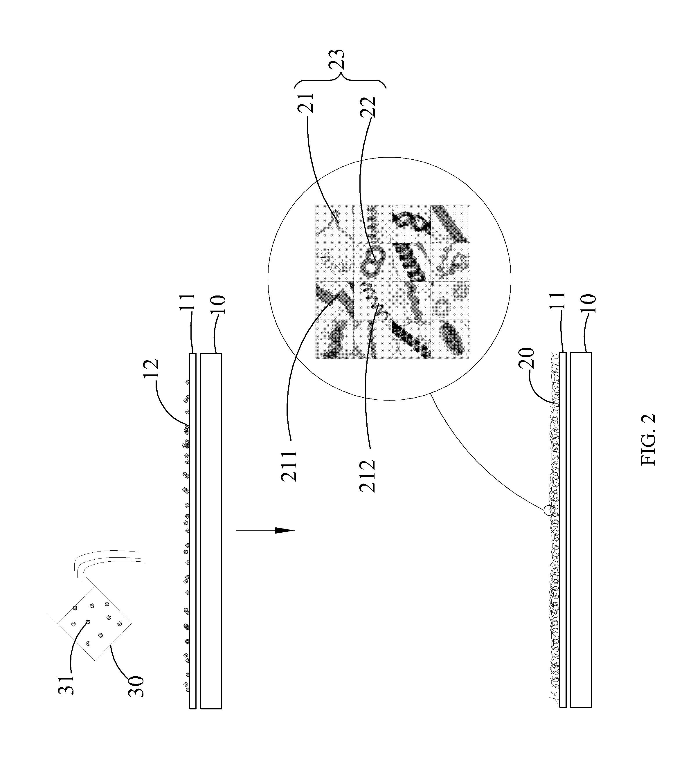 Method for fabricating field emission cathode, field emission cathode thereof, and field emission lighting source using the same