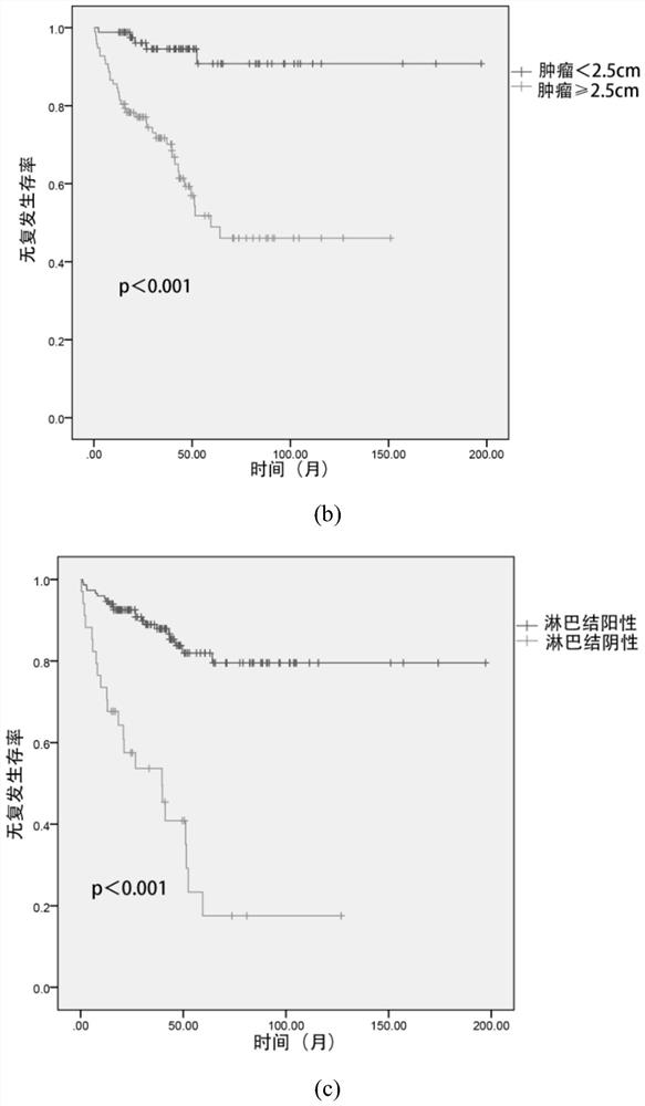 Pancreatic neuroendocrine tumor recurrence prediction system and method, terminal and medium