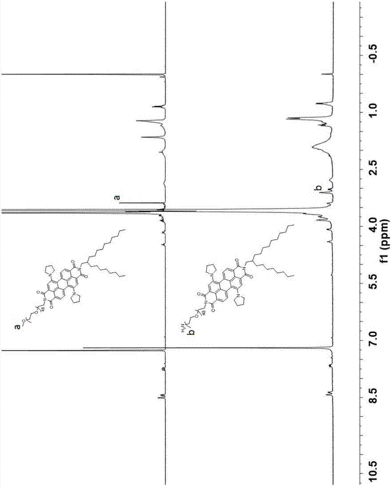 Perylene bisimide multifunctional nano particles with adjustable size and preparation method and application thereof