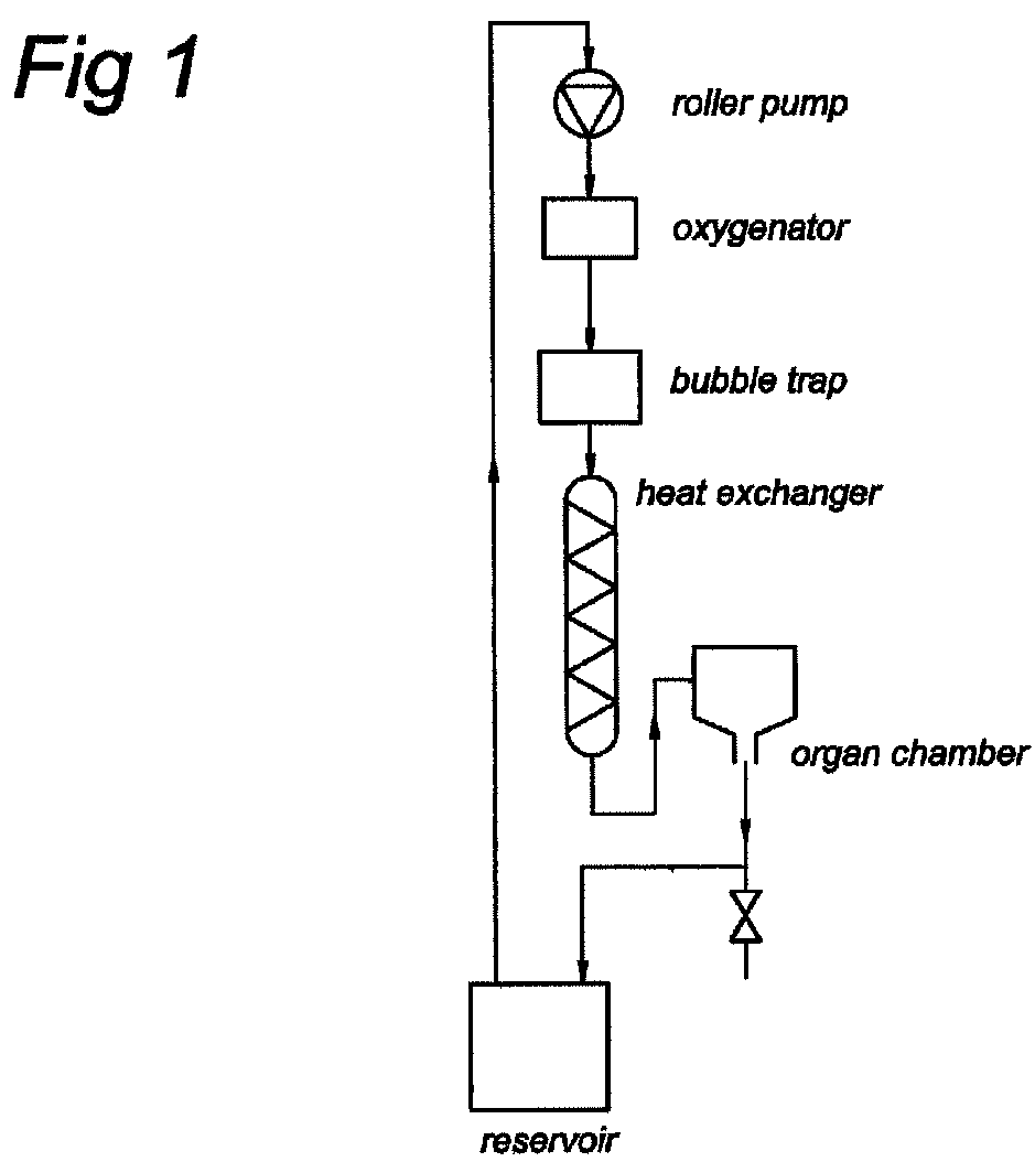 Composition for cold preservation and perfusion of organs