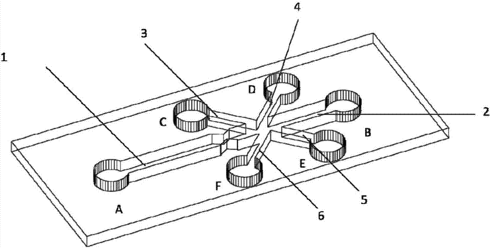 Single cell automatic control sorting device and method based on micro-fluidic chip