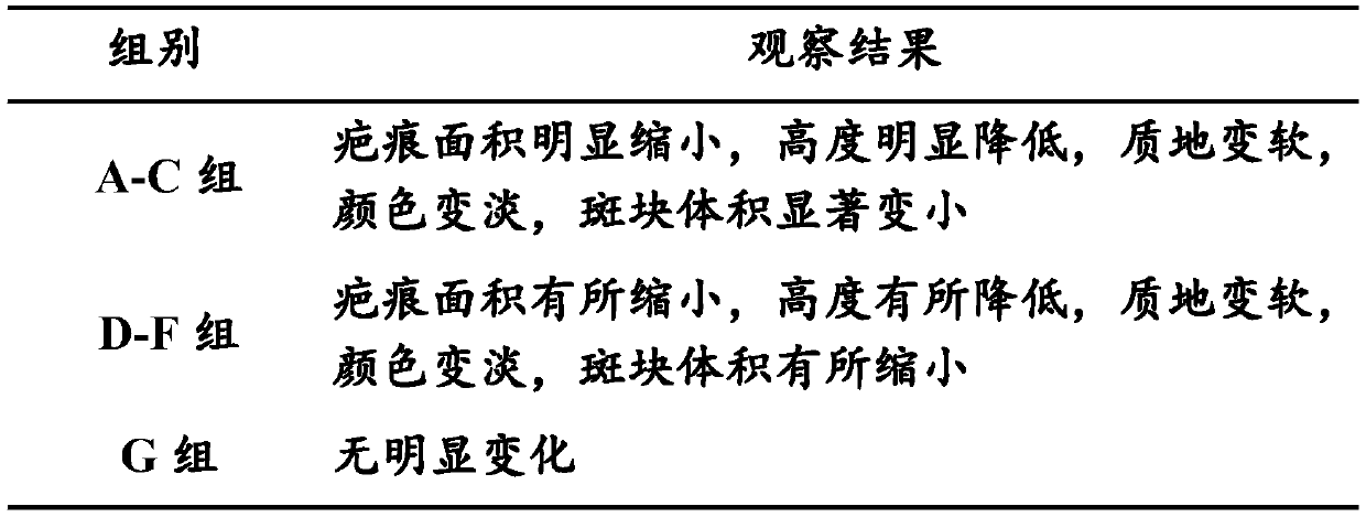 Compound scar-resistant silicone spray and preparation method thereof