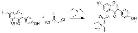 Acylated derivative of genistein and preparation process of acylated derivative