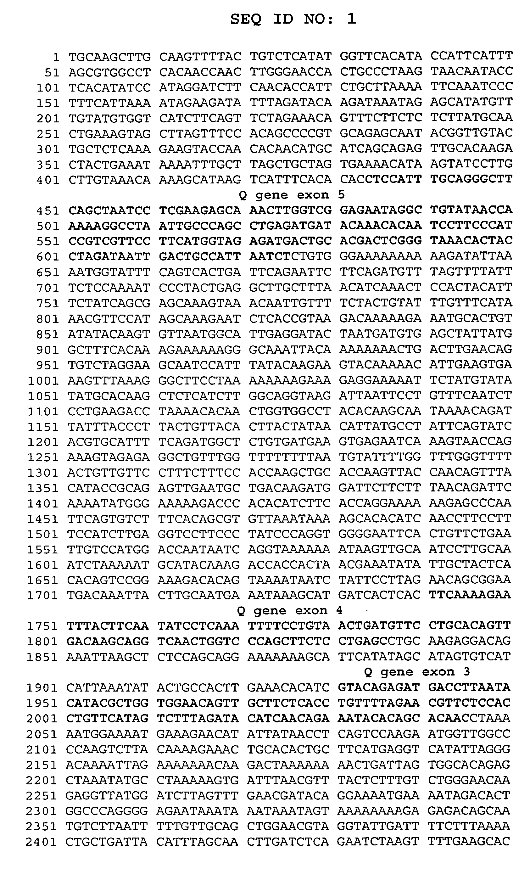 Avian transgenesis using a chicken ovalbumin gene region