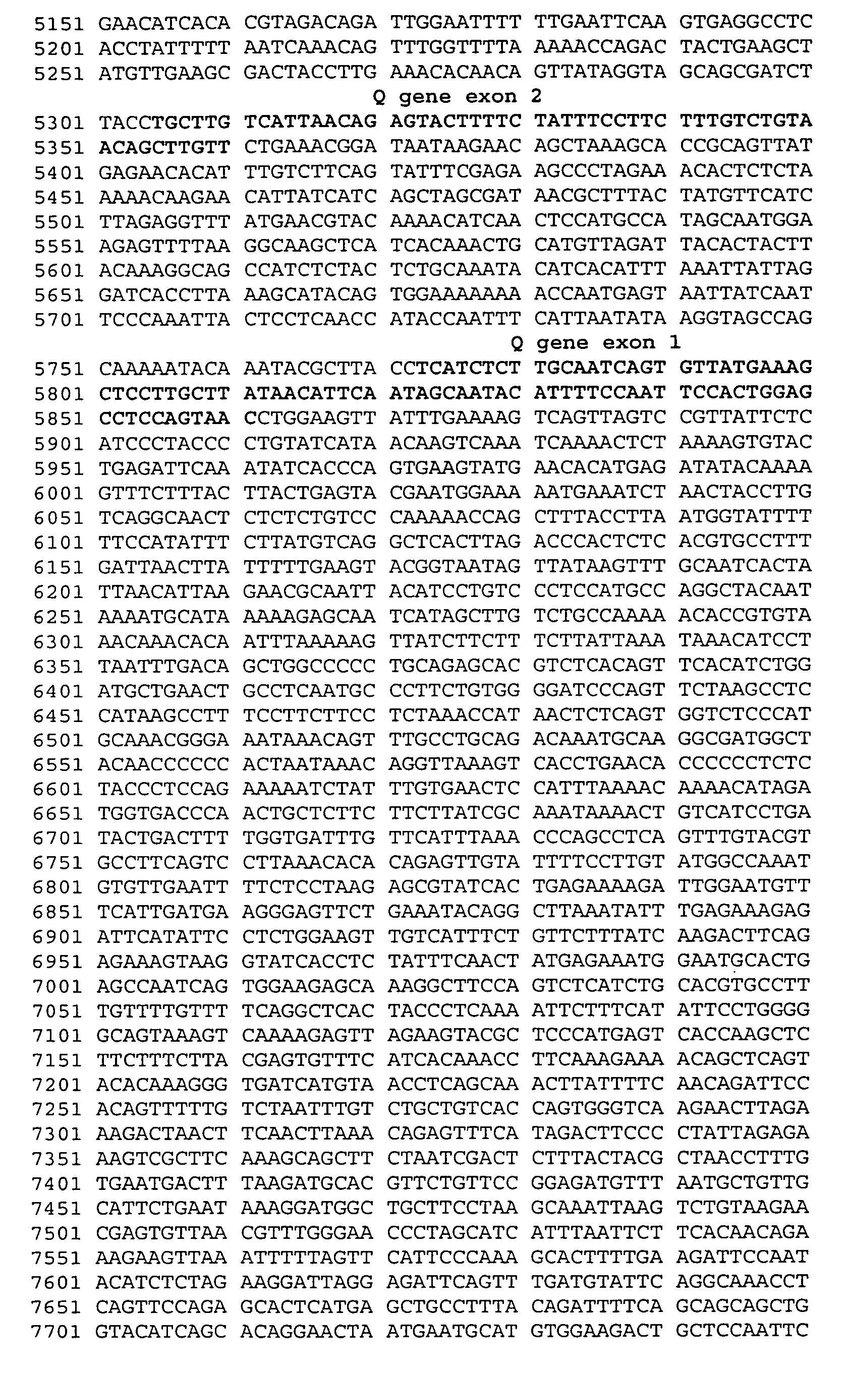 Avian transgenesis using a chicken ovalbumin gene region