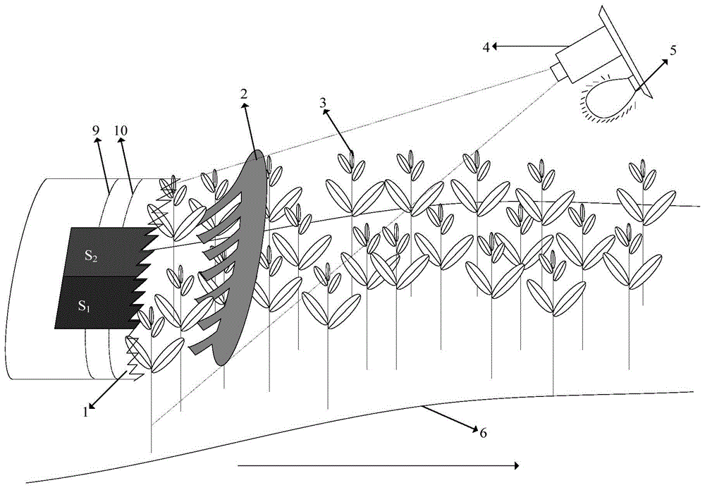 Method for controlling cutting knife of tea-leaf picker based on visual inspection