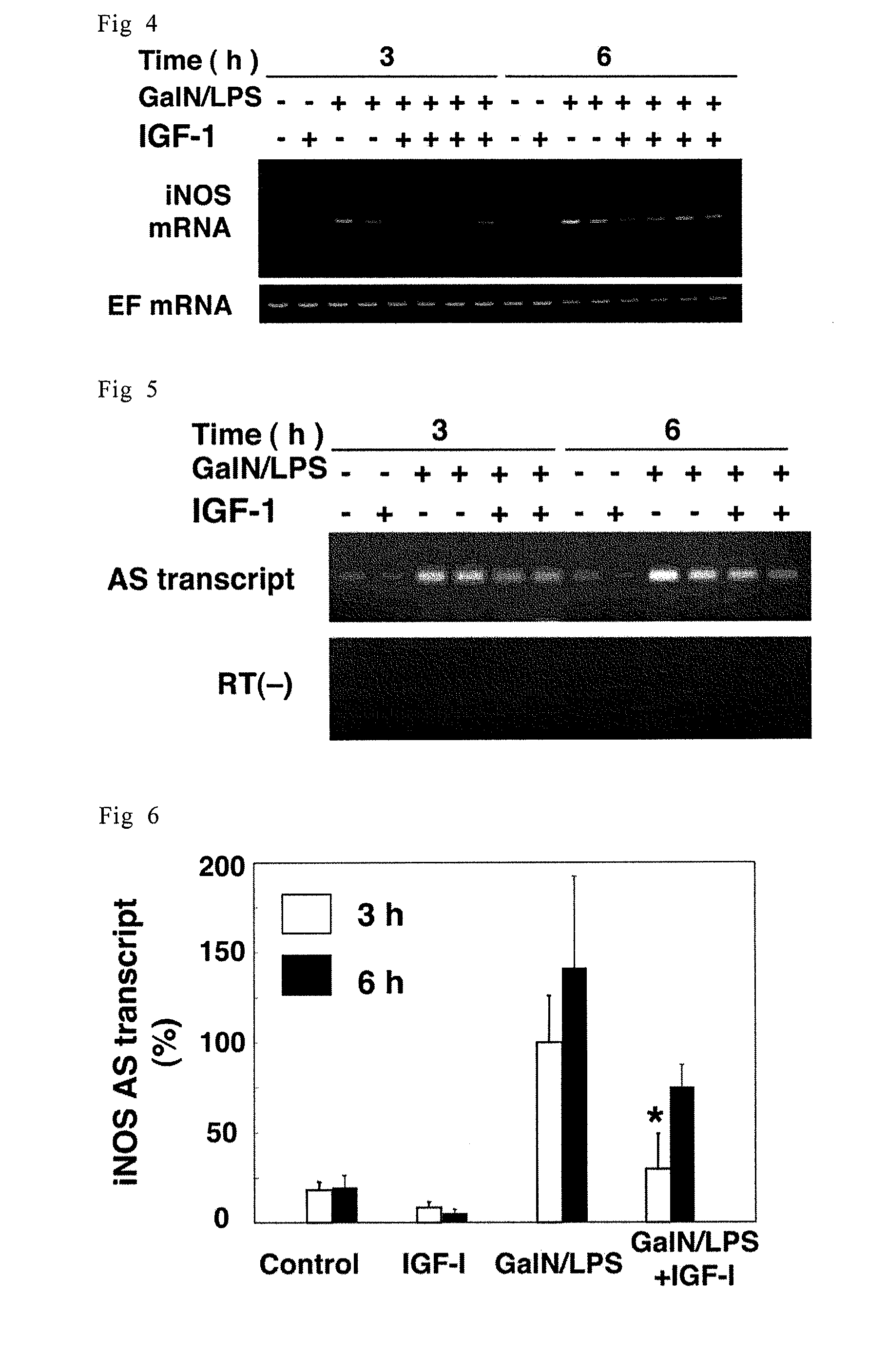 Sense oligonucleotide capable of controlling the expression of iNOS and composition comprising the same