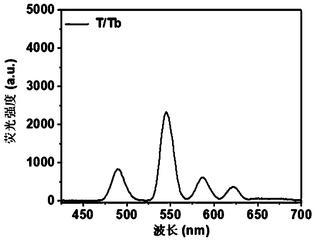 Rare earth nucleoside fluorescent hydrogel, preparation method and application in fluorescent coding