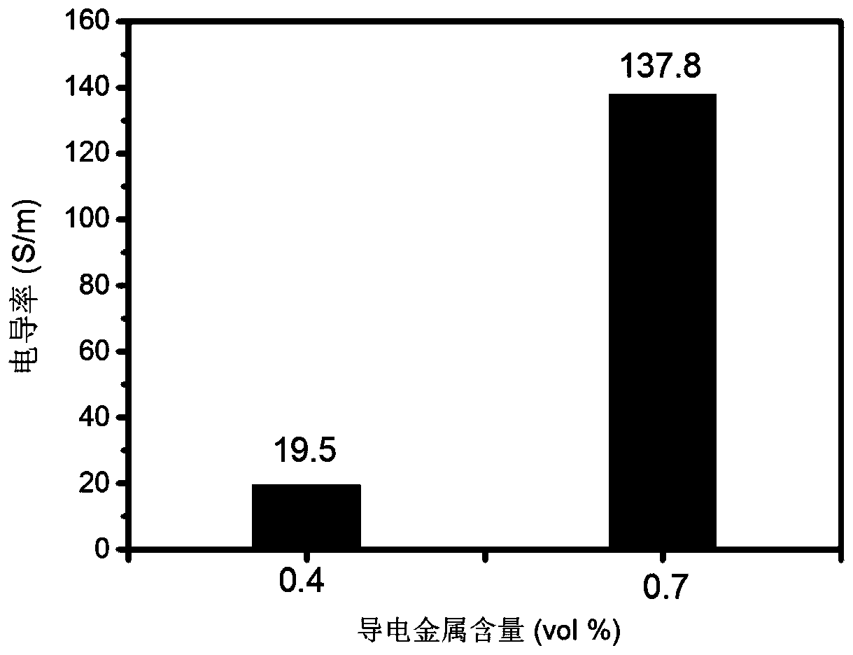 Polymer electromagnetic shielding composite foam with gradient filler structure and preparation method thereof