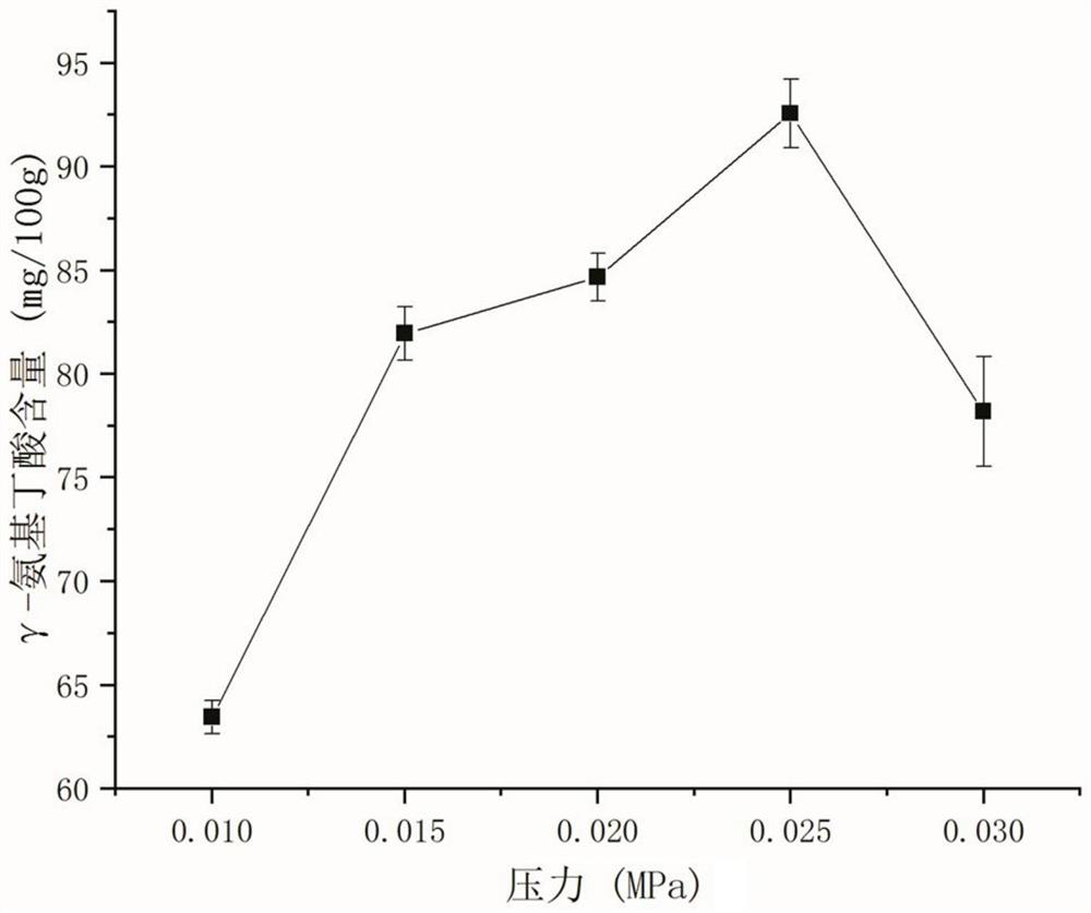 Japonica rice gamma-aminobutyric acid low-pressure steam enriching and drying combined process test method