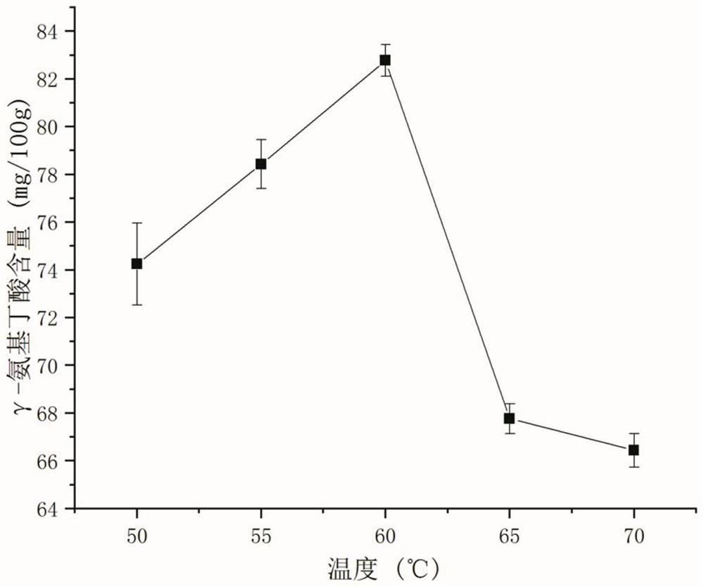 Japonica rice gamma-aminobutyric acid low-pressure steam enriching and drying combined process test method