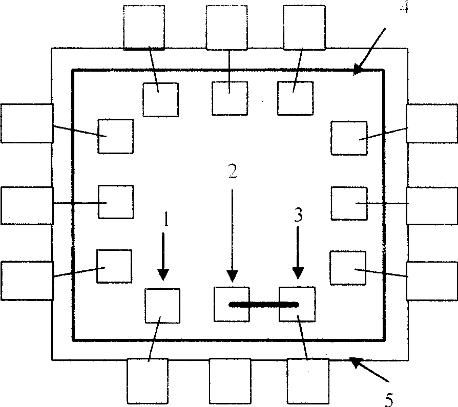 Treat method of information safety IC directing against encryption and decryption operation