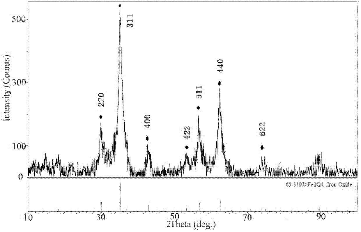 Method for preparing paramagnetic Fe3O4 nanoparticles by using iron tailings