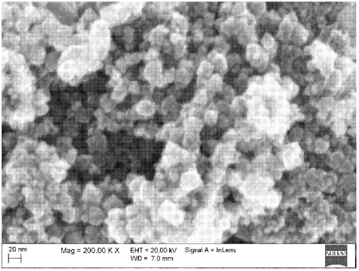 Method for preparing paramagnetic Fe3O4 nanoparticles by using iron tailings