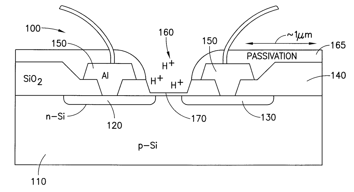 Methods and apparatus for rapid detection of infectious microorganisms