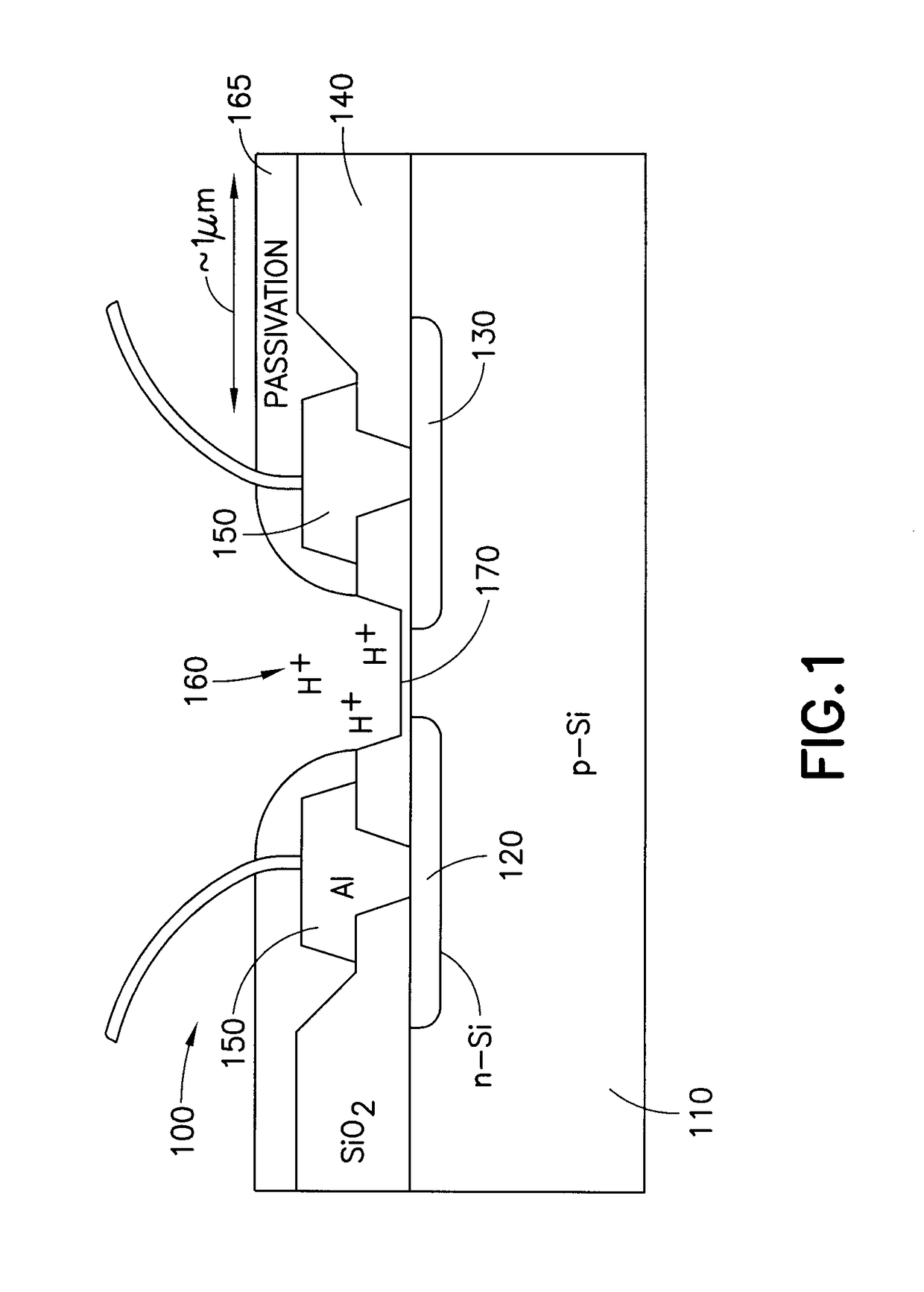 Methods and apparatus for rapid detection of infectious microorganisms