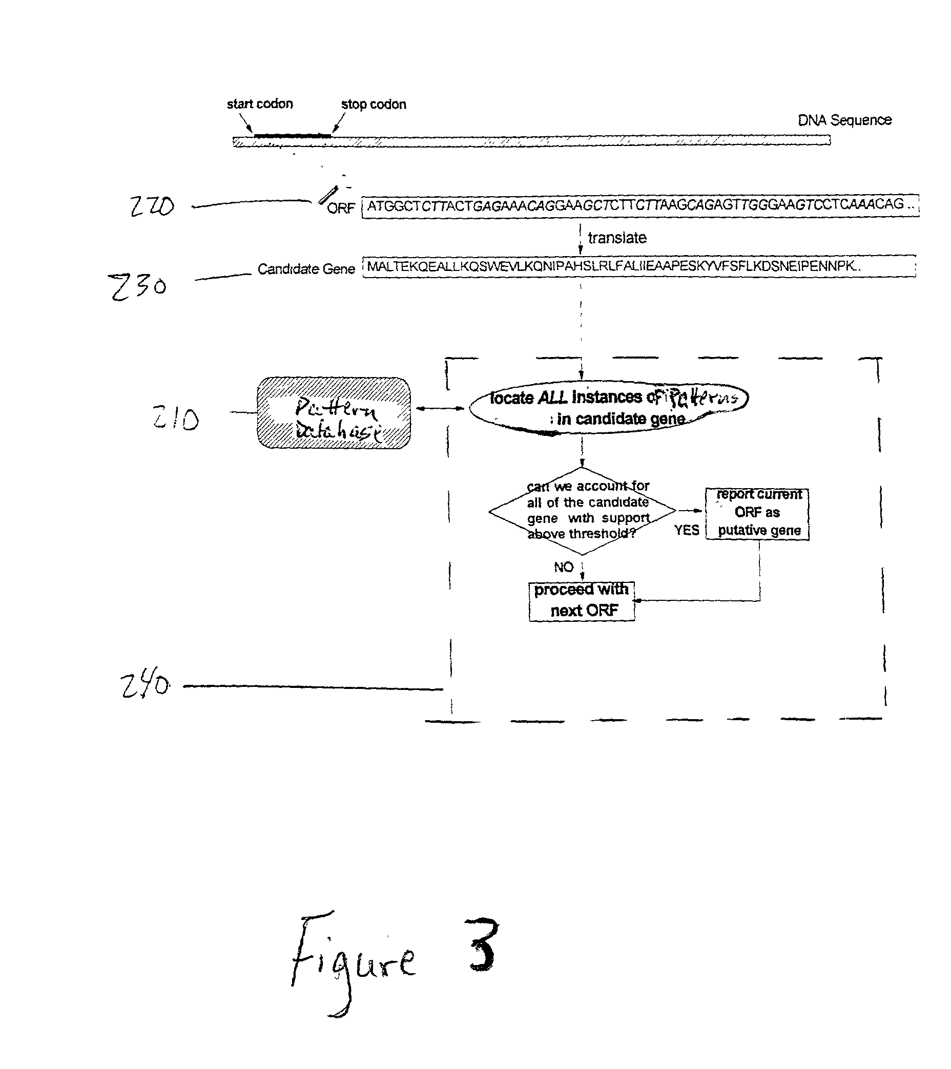 System and method for identifying genes