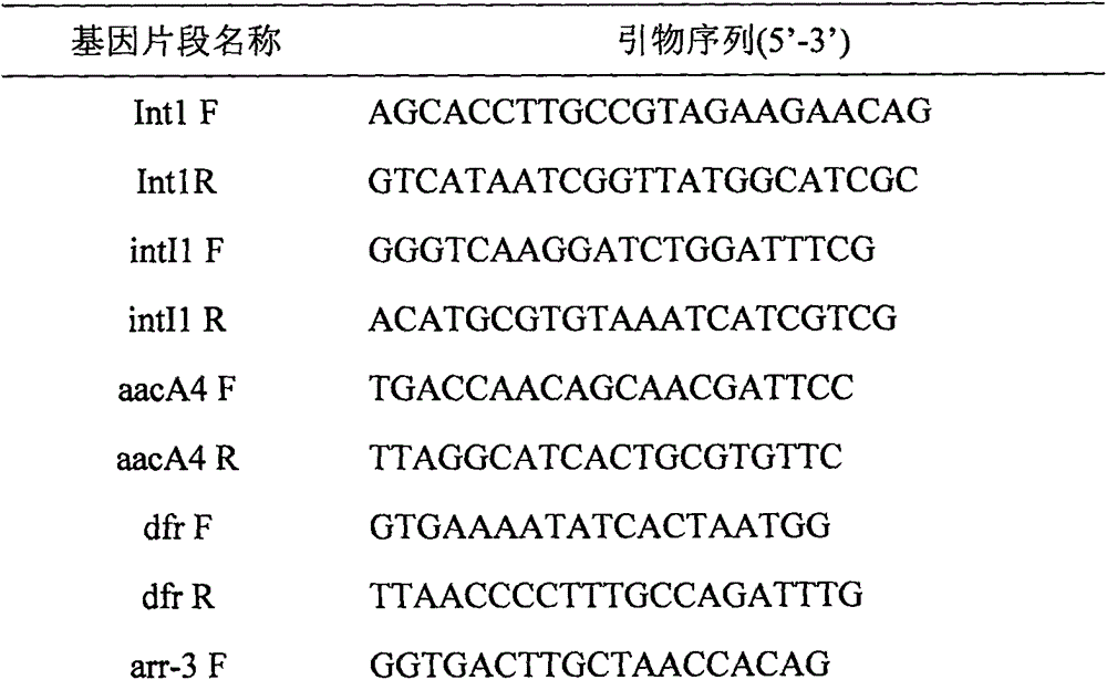 Novel integron In1289 containing multiple drug-resistant gene cassettes