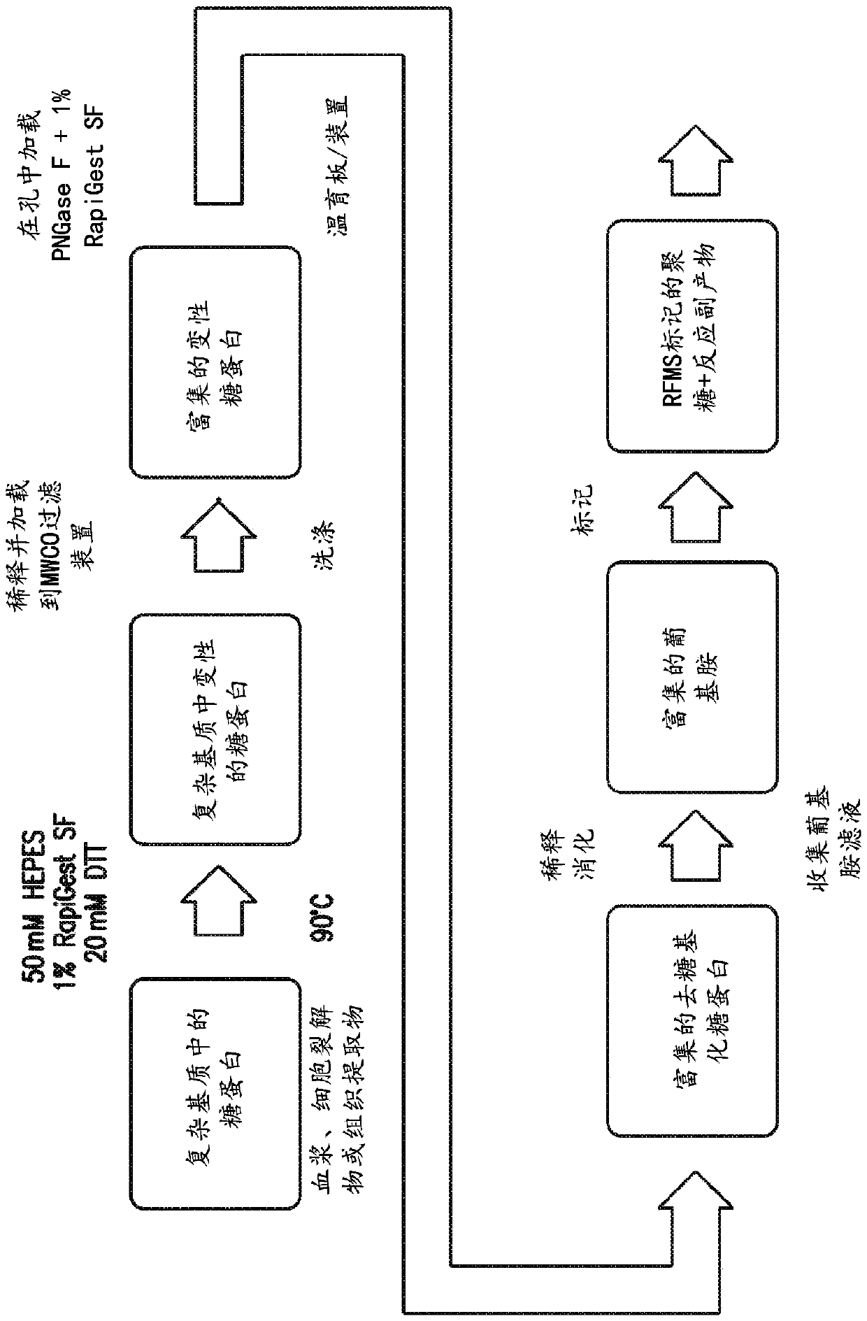 Methods for the rapid preparation of labeled glycosylamines from complex matrices using molecular weight cut off filtration and on-filter deglycosylation