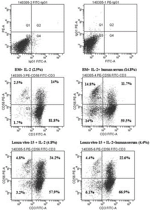 Application of clinical applicable culture system for efficient amplification of NK cells