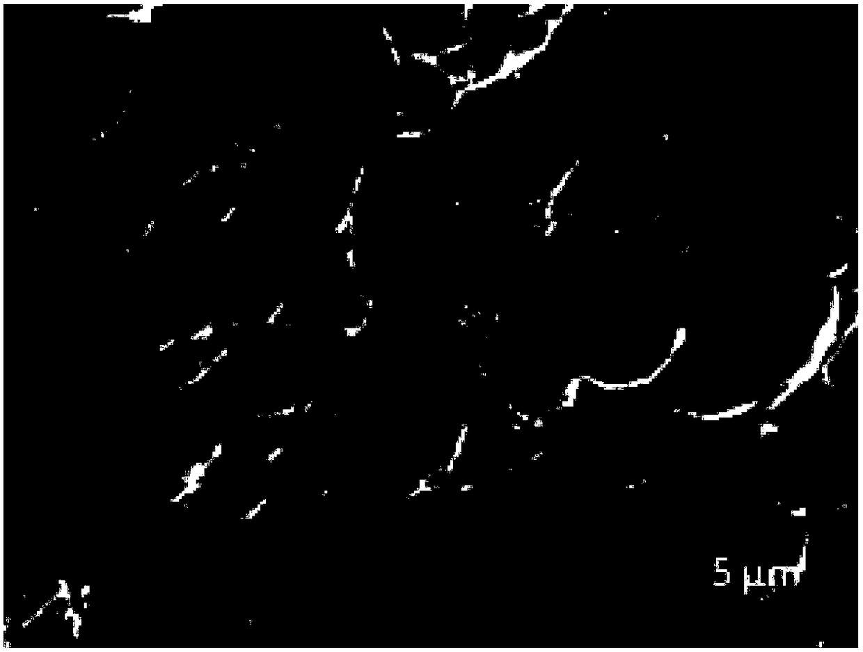 A kind of three-dimensional graphene-based nitrogen-doped porous carbon composite electrode material and preparation method thereof