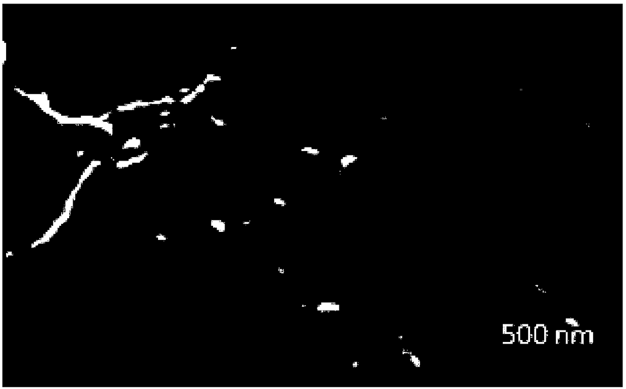 A kind of three-dimensional graphene-based nitrogen-doped porous carbon composite electrode material and preparation method thereof