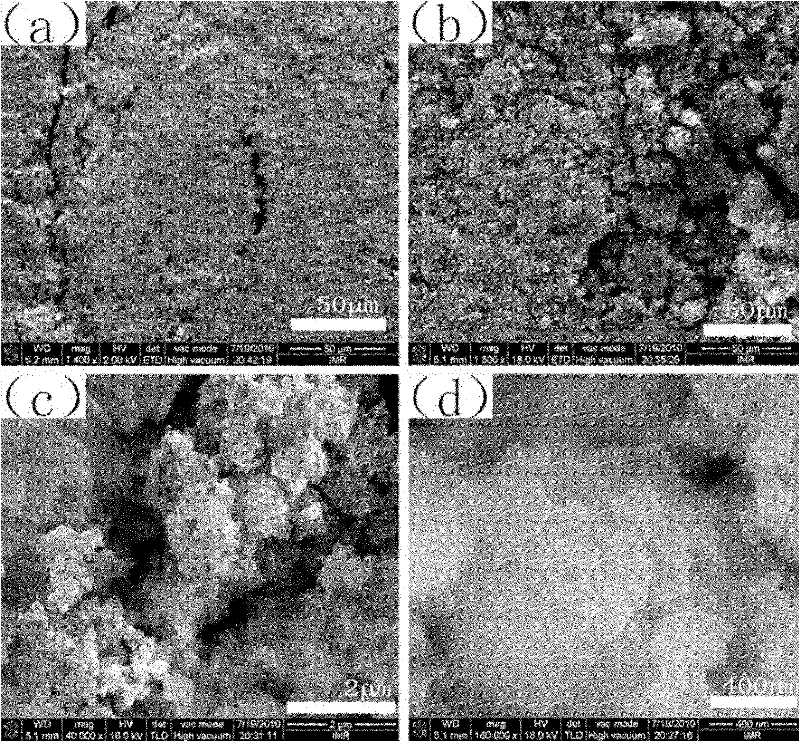 Polyaniline/carbon nano tube adsorbent having multi-layer porous structure and preparation method thereof