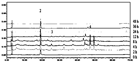 Method for determining contents of index components in bile after oral administration of emblic leafflower fruit tannin part and separating and identifying 30 chemical components