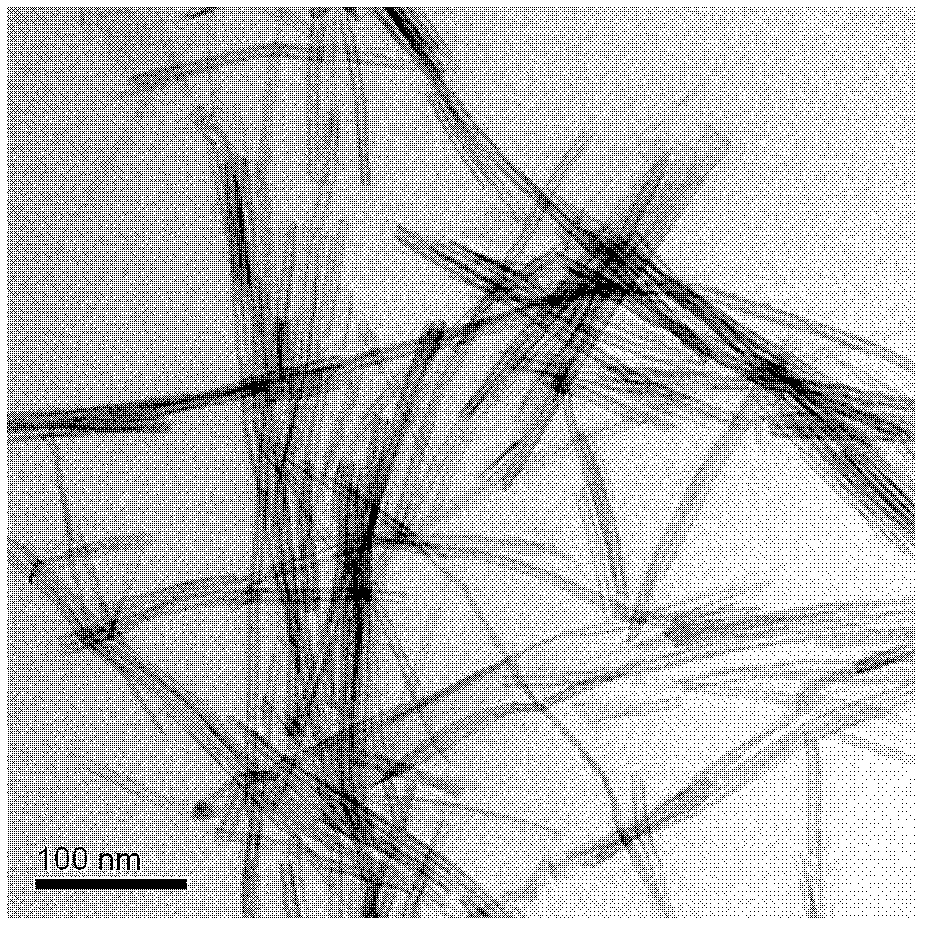 Preparation method for double-rare earth element lanthanum and gadolinium codoped titanium dioxide nanotube