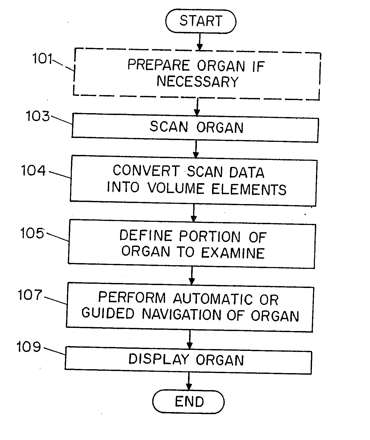System and method for performing a three-dimentional virtual examination of objects, such as internal organs