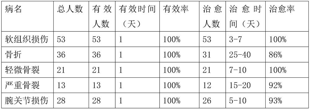 Traditional Chinese Medicine composition for traumatic injuries