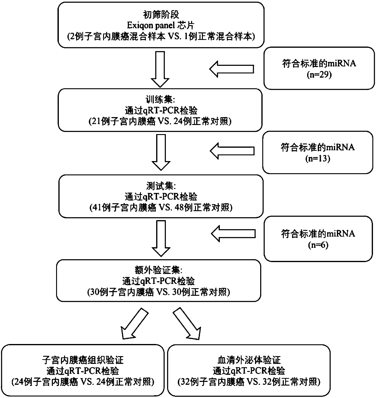 Circulating miRNA marker related to auxiliary diagnosis of endometrial cancers and application thereof