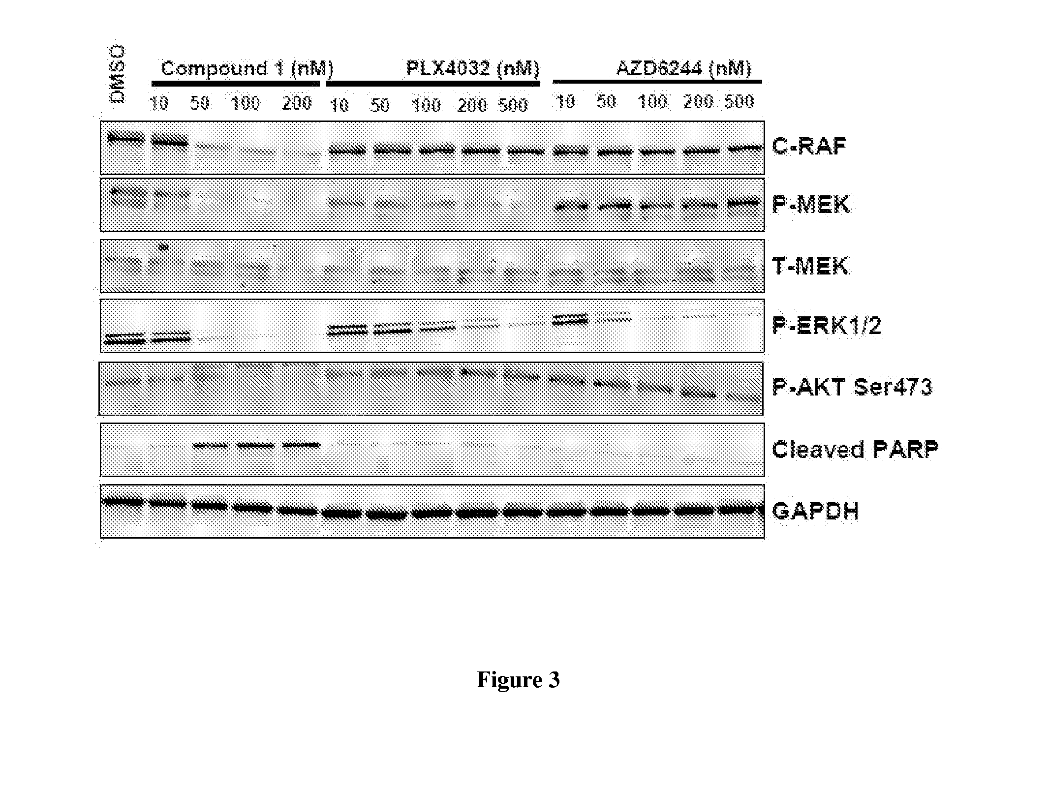 Combination therapy of hsp90 inhibitors with braf inhibitors