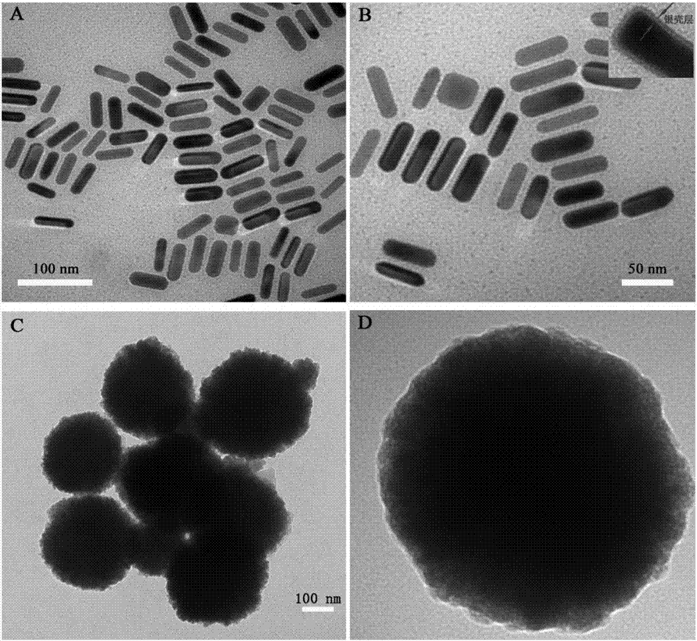 Method for performing supersensitive detection on fungaltoxin of DTNB mark-based gold@silver core-shell nanorod