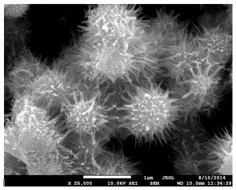 Preparation method of niobium (V) pentoxide urchin-like nano sphere and application of nano sphere as photocatalyst