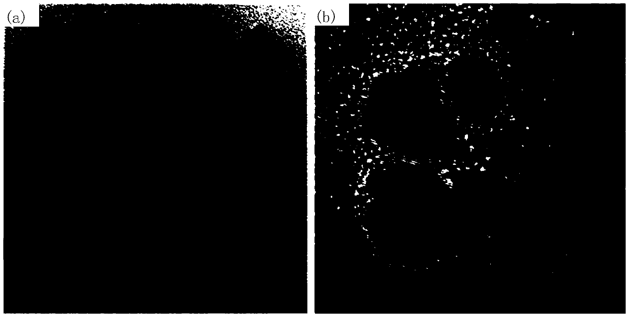 A kind of composite nanoparticle with Janus structure and preparation method and application thereof