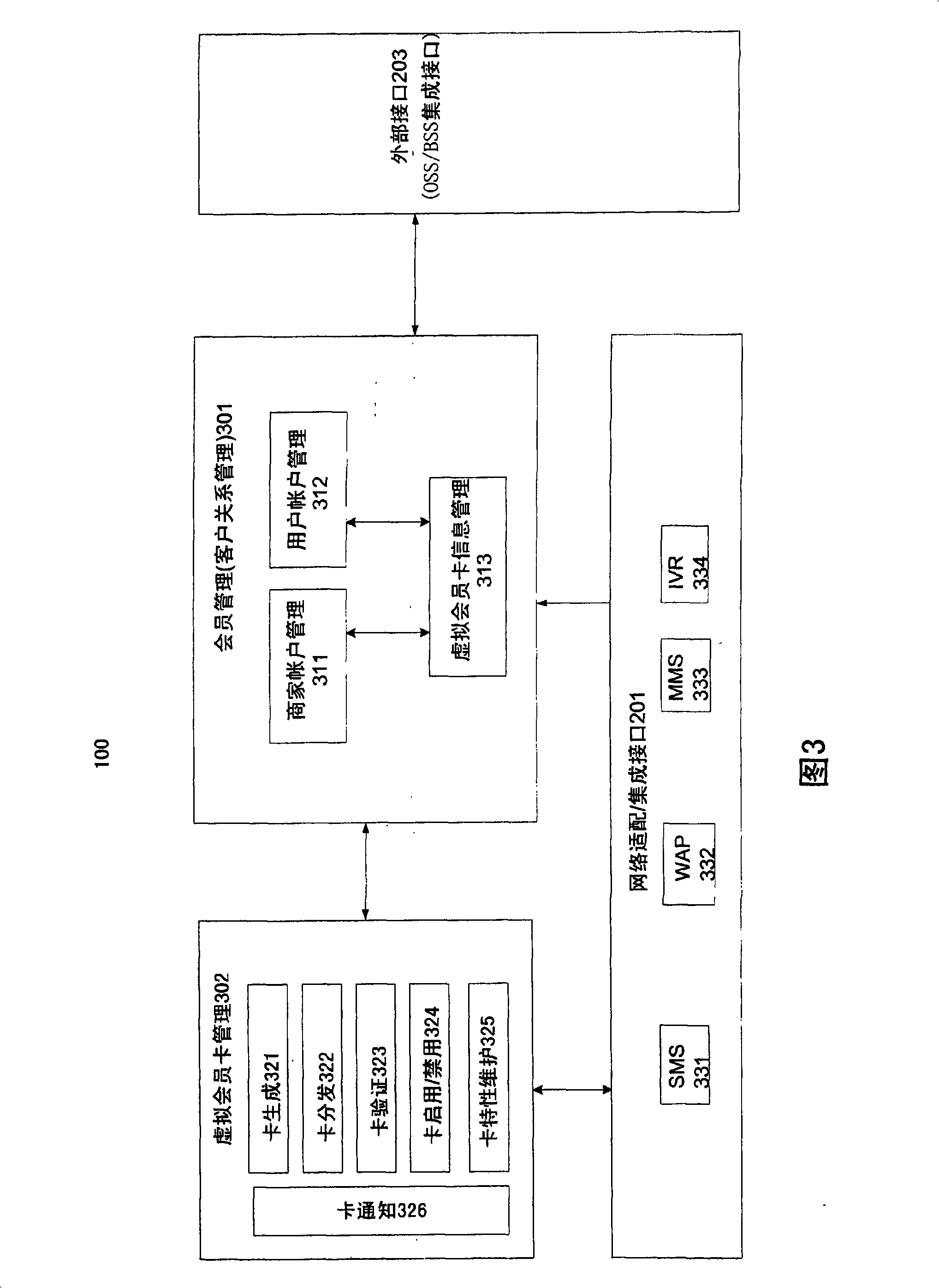 Dummy member card system and providing method, dummy member card reading method