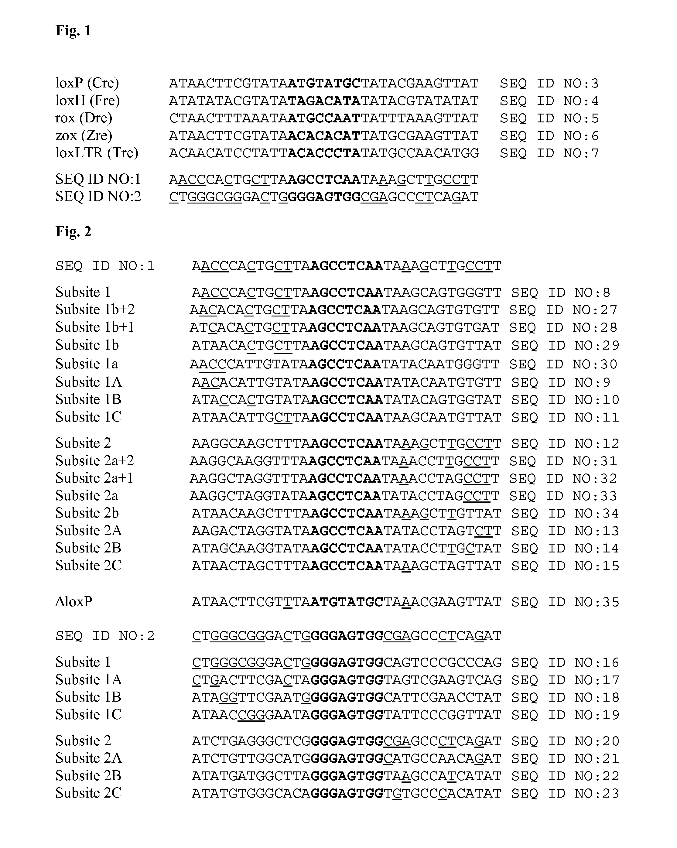 Tailored recombinase for recombining asymmetric target sites in a plurality of retrovirus strains