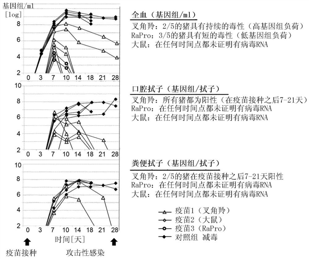 Genetically modified pestiviruses and use thereof as a marker vaccine