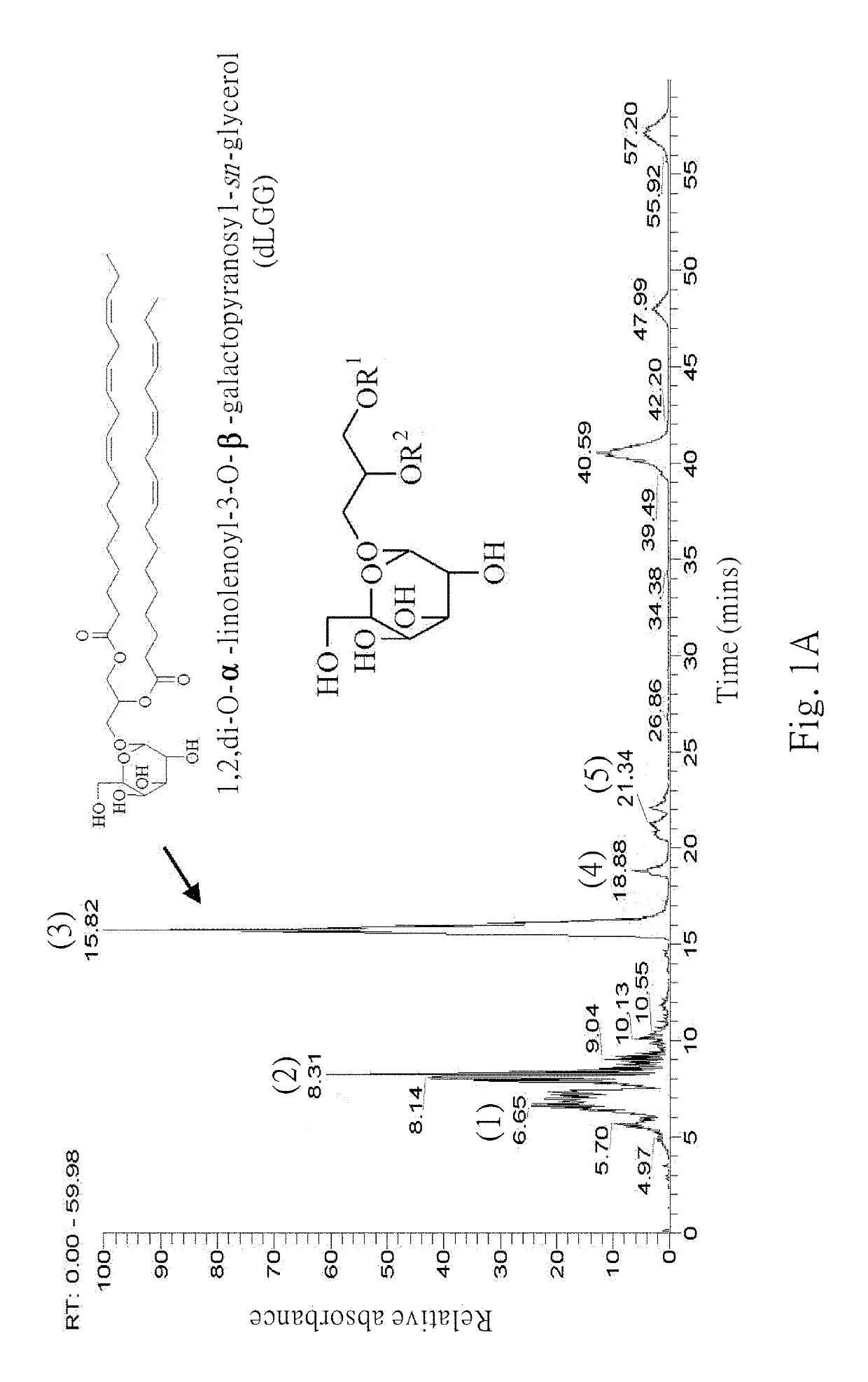 Galactolipids-enriched plant extracts and the uses thereof