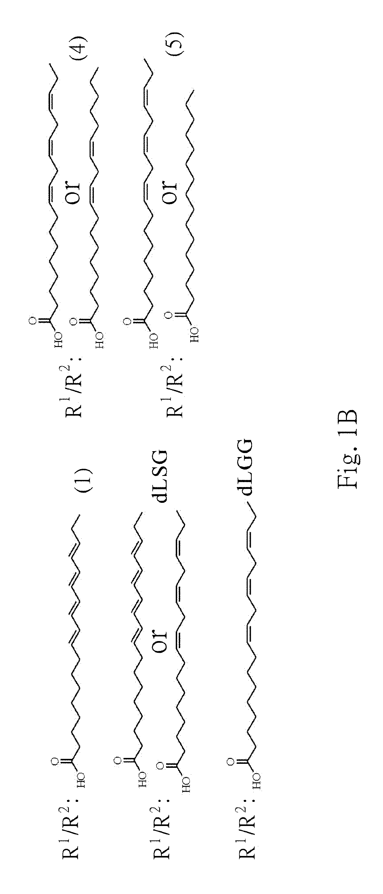 Galactolipids-enriched plant extracts and the uses thereof