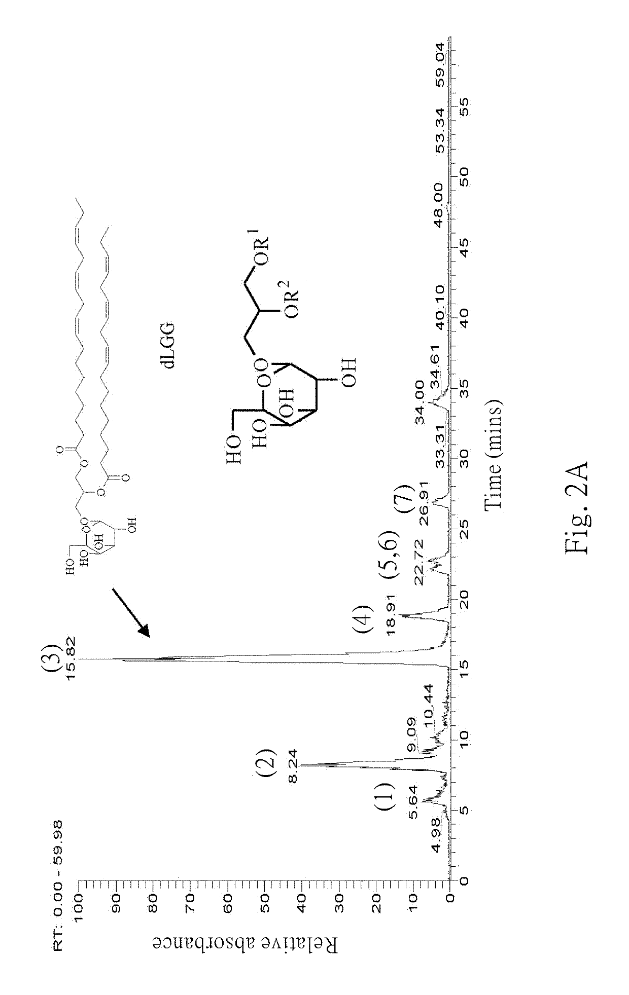 Galactolipids-enriched plant extracts and the uses thereof