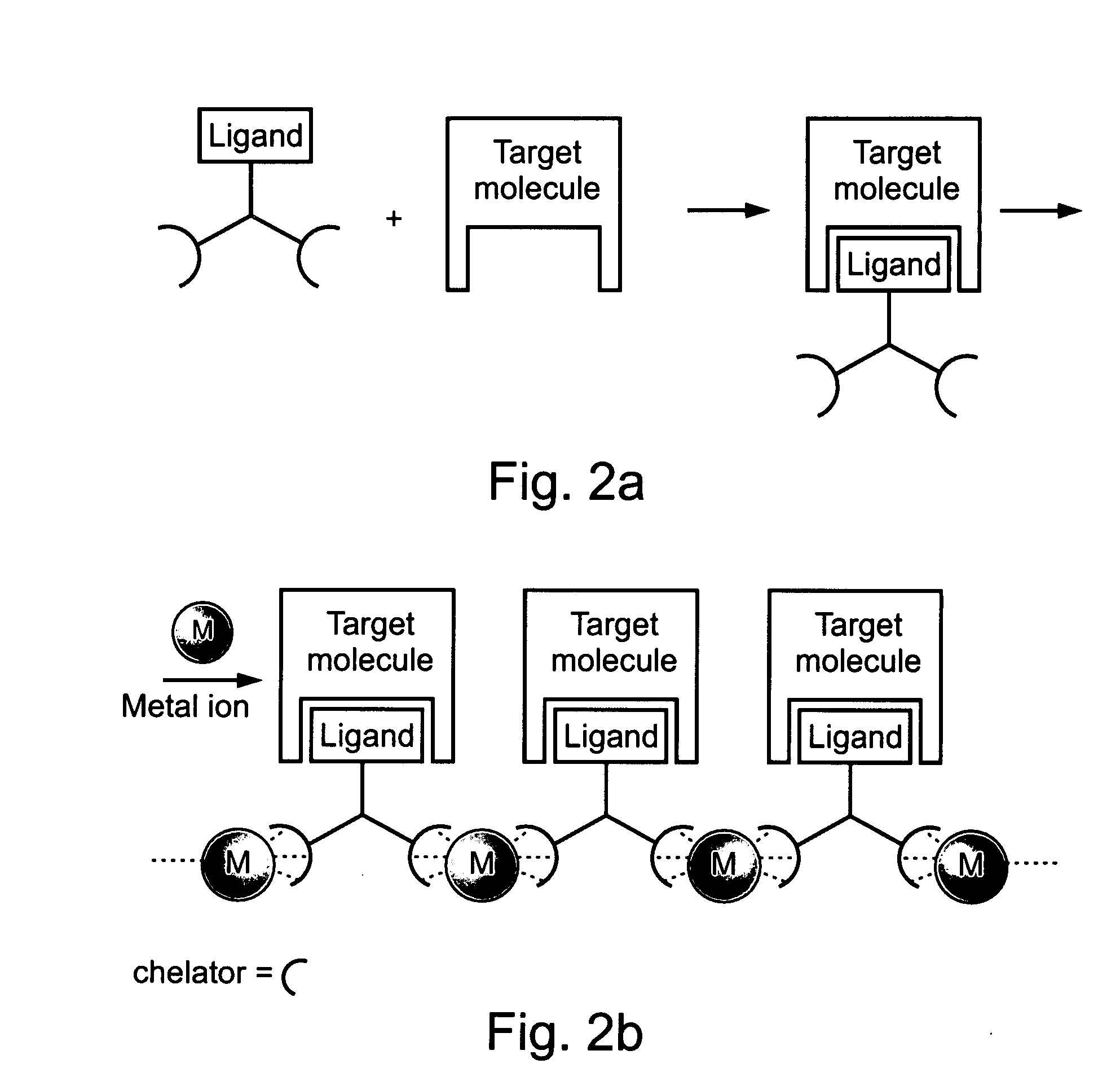 Compositions and methods for purifying and crystallizing molecules of interest