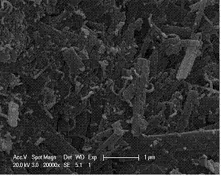 Novel cathode material of vanadium oxide nanometer lithium ion battery and preparation method thereof